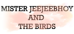 MISTER JEEJEEBHOY AND THE BIRDS
