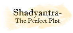 Shadyantra- The Perfect Plot