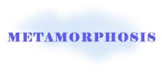 Metamorphosis