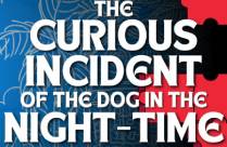 THE CURIOUS INCIDENT OF THE DOG IN THE NIGHT TIME