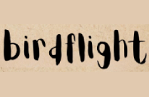BIRDFLIGHT