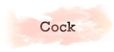 COCK