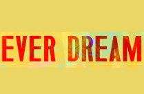FEVER DREAM