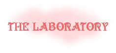 The Laboratory