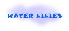 Water Lilies