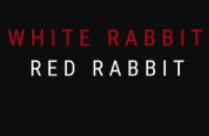 WHITE RABBIT RED RABBIT English Play/Drama - www.MumbaiTheatreGuide.com