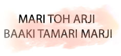 MARI TOH ARJI BAAKI TAMARI MARJI