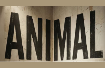 ANIMAL