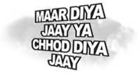 Maar Diya Jaay Ya Chhod Diya Jaay
