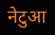 Netua NETUA Hindi Play/Drama - www.MumbaiTheatreGuide.com