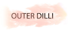 OUTER DILLI