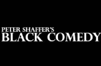 PETER SHAFFER BLACK COMEDY Hindi Play/Drama - www.MumbaiTheatreGuide.com