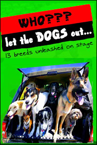 WHO LET THE DOGS OUT???