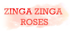 ZINGA ZINGA ROSES