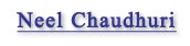 Neel Chaudhuri