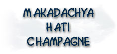 Makadachya Haati Champagne