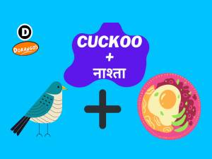 More details on Cuckoo + Naashta